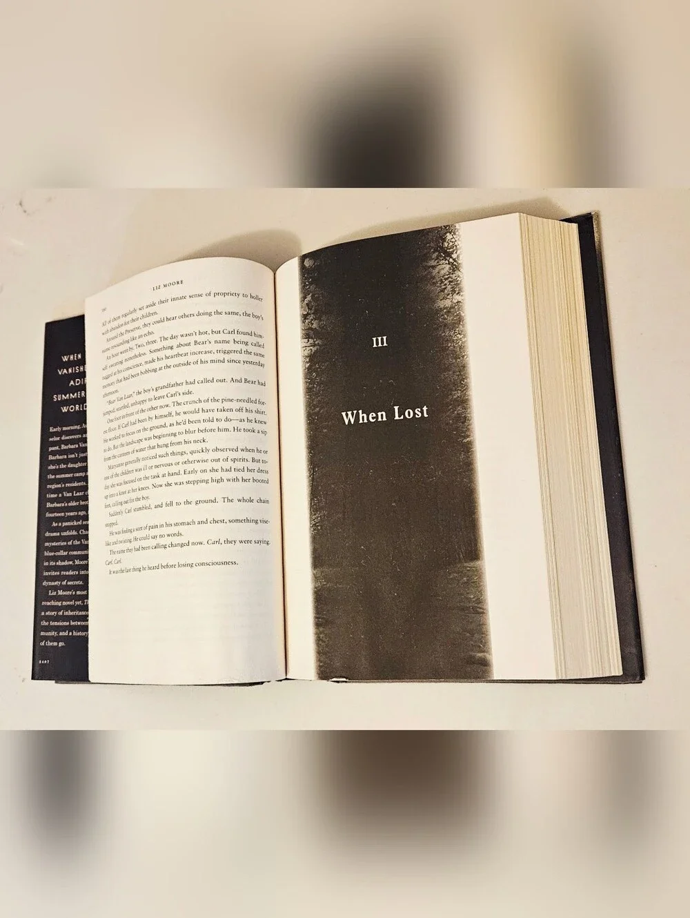 bestseller liz moore